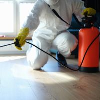 Rodent Control